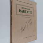 Juhani Aho : Rautatie - pikkukuva 1
