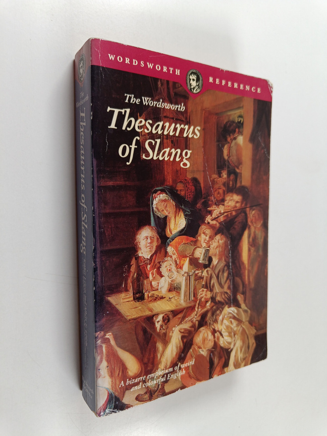 Esther Lewin : The Wordsworth Thesaurus of Slang