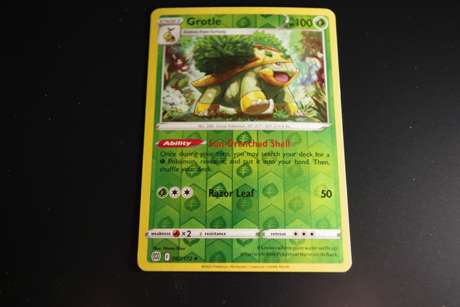 Grotle 7 /172, Brilliant Stars 2022, holo uncommon