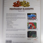 David Asch : Photoshop Elements : temput ja vinkit - pikkukuva 2