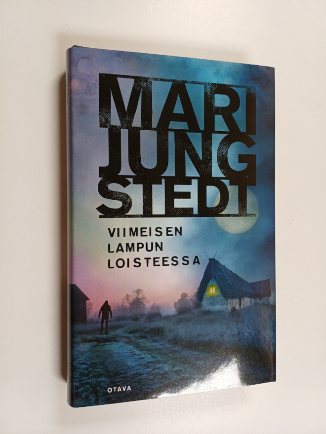 Mari Jungstedt : Viimeisen lampun loisteessa