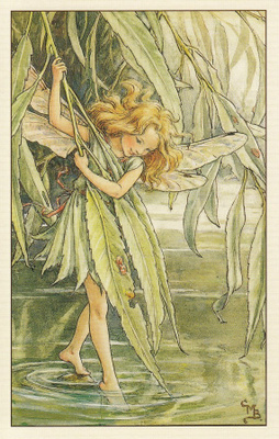 Cicely Mary Barker: Kukkakeijut paju