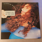 Gloria Estefan : LP Into the light (1991) - pikkukuva 1