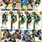 74 x ILVES Eri Vuosilta - pikkukuva 5