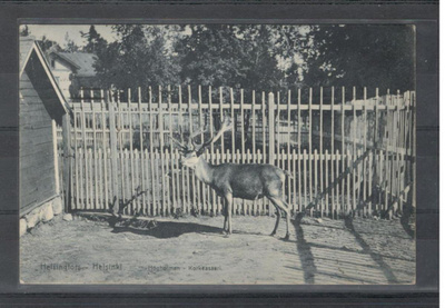v. 1910 Korkeasaari Helsinki