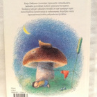 Iloinen pillipiipari - Kaija Pakkanen 1.p (sid.) - pikkukuva 5