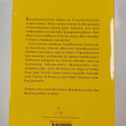 Danielle Steel : Torjuttu totuus - pikkukuva 2