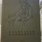 Kalevalan kauneutta Valokuvin valaistuja runosäkeitä v. 1935 - pikkukuva 1
