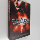 Brigid Kemmerer : Spark - pikkukuva 1