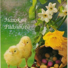 kortti Narsissi - erilaisia valokuvakortteja - pikkukuva 1