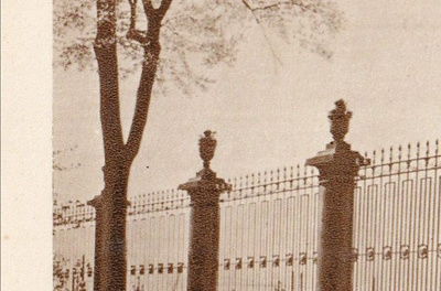 Leningrad. Grille of the Summer Garden , e236