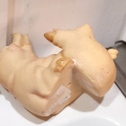 KAKSI ILOISTA POSSU KORISTETTA - pikkukuva 5