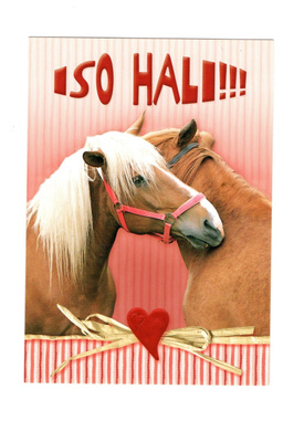 HEVOSET °°Iso Hali!!!°° -KORTTI /(Kulkematon)