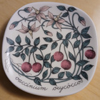 Arabian Karpalo seinälautanen design Esteri Tomula. - pikkukuva 1