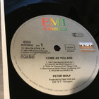 Peter Wolf Come as you are  Lp 1987 Emi inn - pikkukuva 3