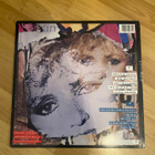 Bonnie Tyler Notes From America LP vinyylilevy + juliste  - pikkukuva 3