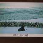 Lappi - viisi porokorttia - pikkukuva 3