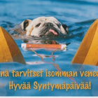 ONNITTELU POSTIKORTTI  -  KARTO - pikkukuva 1