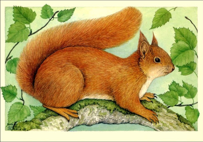 Pirkko Juvonen-Valtonen, ORAVA, käyttämätön