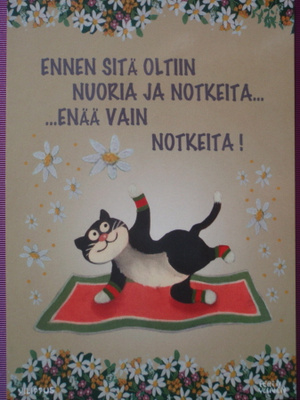 Pertti Ylinen kissa venyttelee matolla