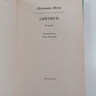 Hermann Hesse : Gertrud - pikkukuva 2