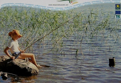 Poika onkii kaislikossa Postikortti