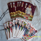 Fifa Word cup Qatar 2022 KORTIT - pikkukuva 2