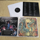 BRUTUS - Behind The Mountains LP - pikkukuva 1