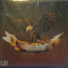 TRAVIS SCOTT - BIRDS IN THE TRAP SING MCKNIGHT - UUSI 2LP - pikkukuva 2