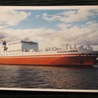 M/S Transeuropa. Laivapostikortti - pikkukuva 1