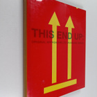 Gavin Ambrose : This end up : original approaches to pack... - pikkukuva 1