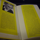 Jose Saramago : Kivinen lautta ( 1 p. 1994 ) Sis.pk:t - pikkukuva 2