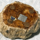 Tuhkakuppi, Genuine Alabaster - pikkukuva 3