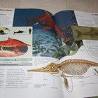 Tiedon polku Dinosaurukset - pikkukuva 4