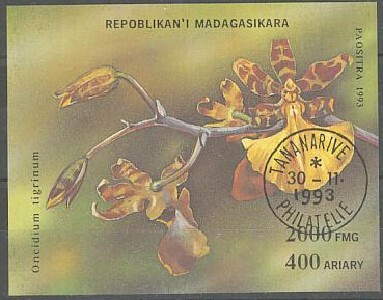orkkidea Madagasgar 1993 leimattu blokki