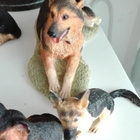 5 kpl SAKSANPAIMENKOIRA FIGUUREITA - pikkukuva 5