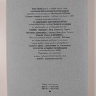 Eino Leino : Maailmankirjailijoita : Homeros, Dante, Cerv... - pikkukuva 2