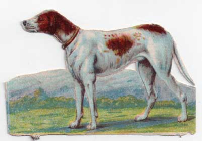 WANHA / Paimenkoira laaksossa. 1900-l.