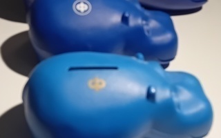 Sininen Hippo pankki