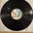 GRAHAM CENTRAL STATION : Ain't no 'bout-a-doubt it -LP - pikkukuva 3