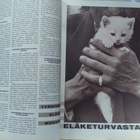 Kotiliesi N:o 9 toukokuu 1962 - pikkukuva 5