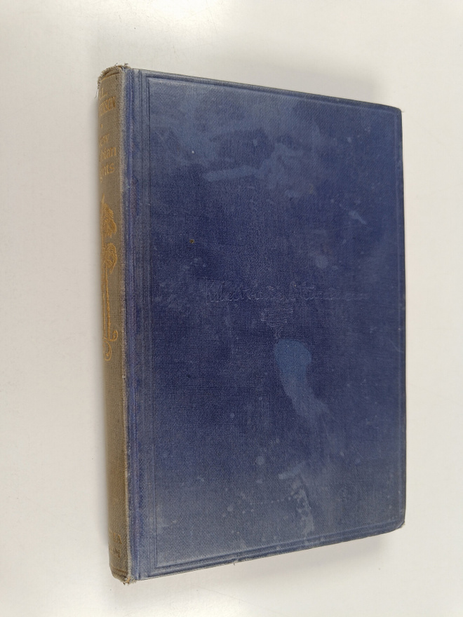 Robert Louis Stevenson : New Arabian Nights - eBook Edition