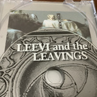 Leevi And The Leavings - Hopeahääpäivä - pikkukuva 4