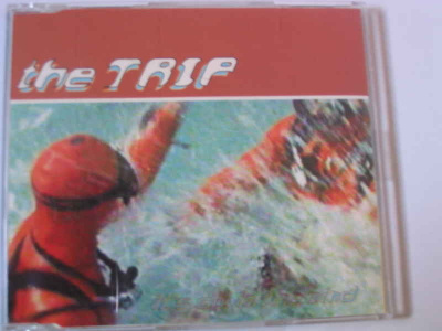 CDS THE TRIP-IT*S ALL IN THE MIND