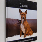 Basenji - pikkukuva 1