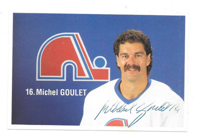 1989-90 Quebec Nordiques TeamIssue #16 Michel Goulet Nimmari