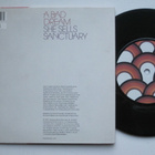 KEANE A Bad Dream 7" vinyylisingle + juliste - pikkukuva 2