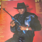 Miles Davis: You’re Under Arrest LP - pikkukuva 2