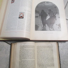 NYA TESTAMENTET v 1907 BIBLIA tms kirja 1863 ( EDELFELT YM - pikkukuva 4