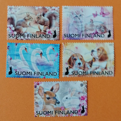 Suomi 2023 Tärkeä ystävä